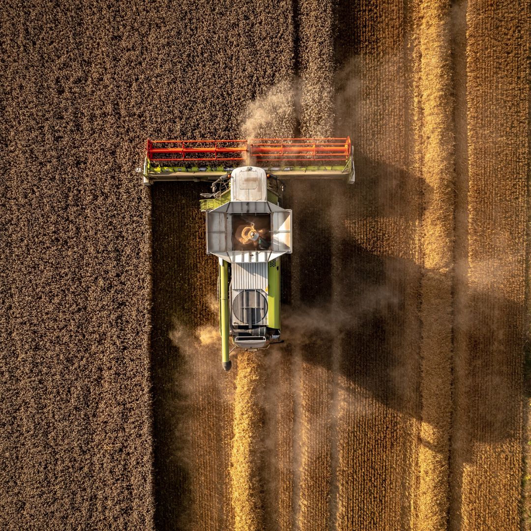 Um Doam Farm